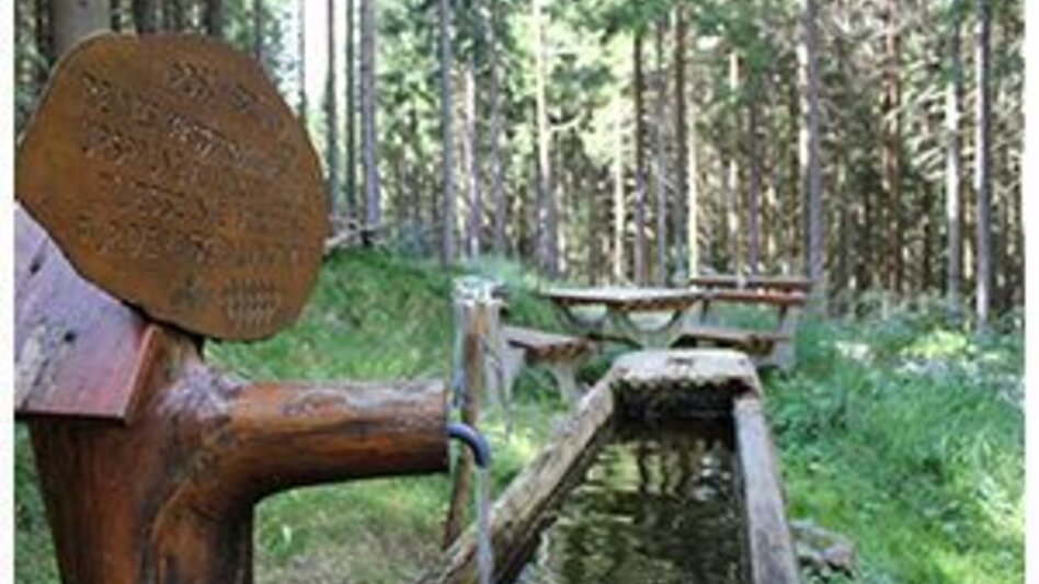 Wanderung Grauer Stein - Kalter Brunnweg, Strallegg - Touren-Impression #2.2 | © Oststeiermark Tourismus
