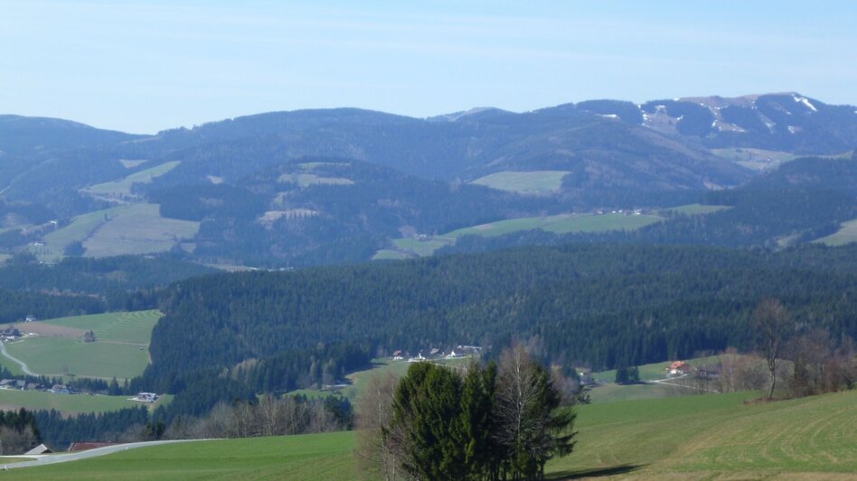 Wanderung Grauer Stein - Kalter Brunnweg, Strallegg - Touren-Impression #2.3 | © Oststeiermark Tourismus