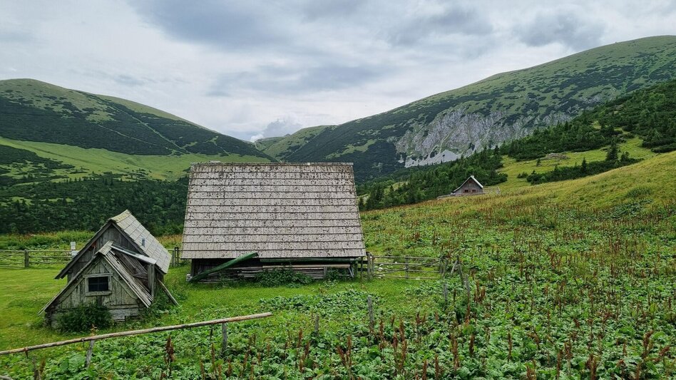 Klettersteig Bärenloch und Zahmes Gamseck im Naturpark Mürzer Oberland - Touren-Impression #2.6 | © TV Hochsteiermark