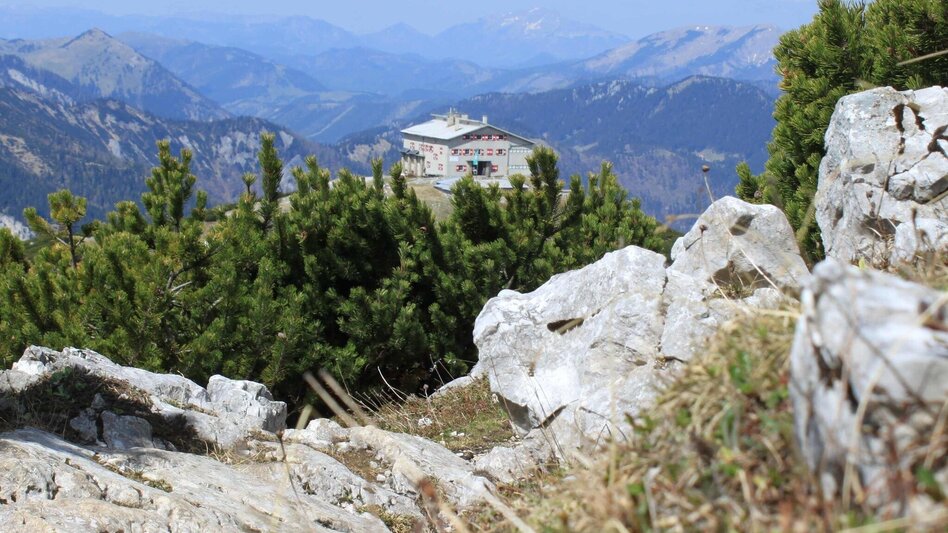 Klettersteig Kleines Gries und Zahmes Gamseck im Naturpark Mürzer Oberland - Touren-Impression #2.1 | © Unbekannt