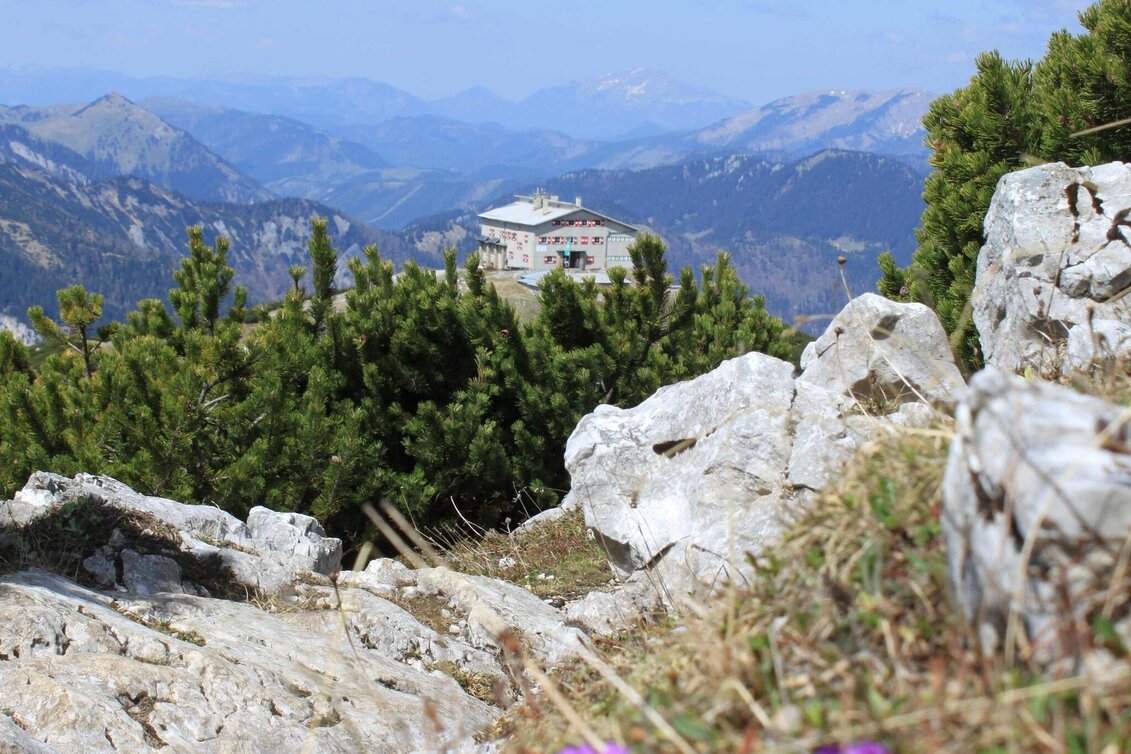Klettersteig Kleines Gries und Zahmes Gamseck im Naturpark Mürzer Oberland - Touren-Impression #1 | © Unbekannt
