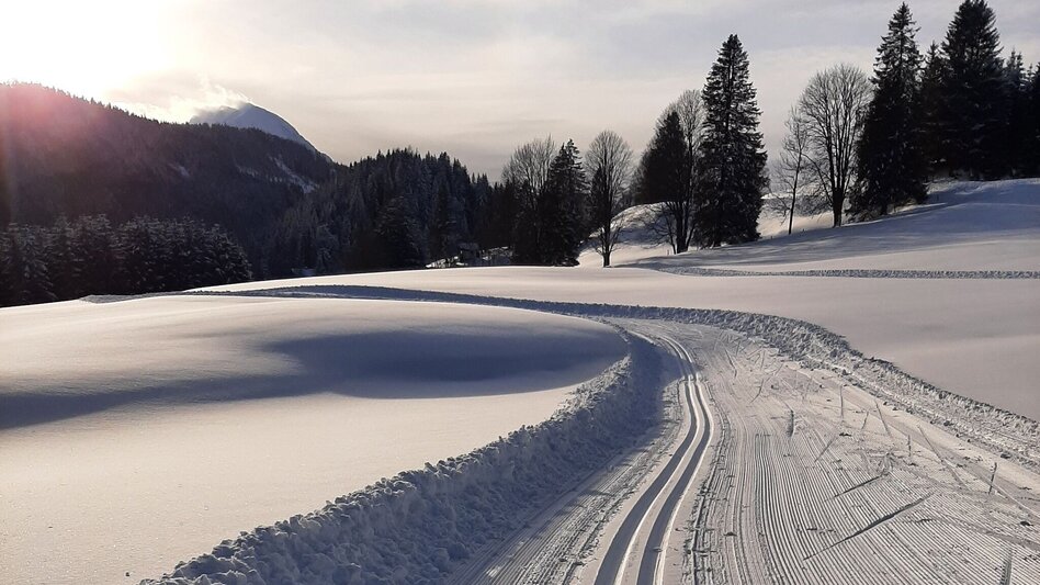 Langlauf Skating Spechtensee Loipe - Touren-Impression #2.8 | © Erlebnisregion Schladming-Dachstein