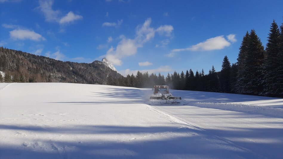 Langlauf Skating Spechtensee Loipe - Touren-Impression #2.3 | © Erlebnisregion Schladming-Dachstein