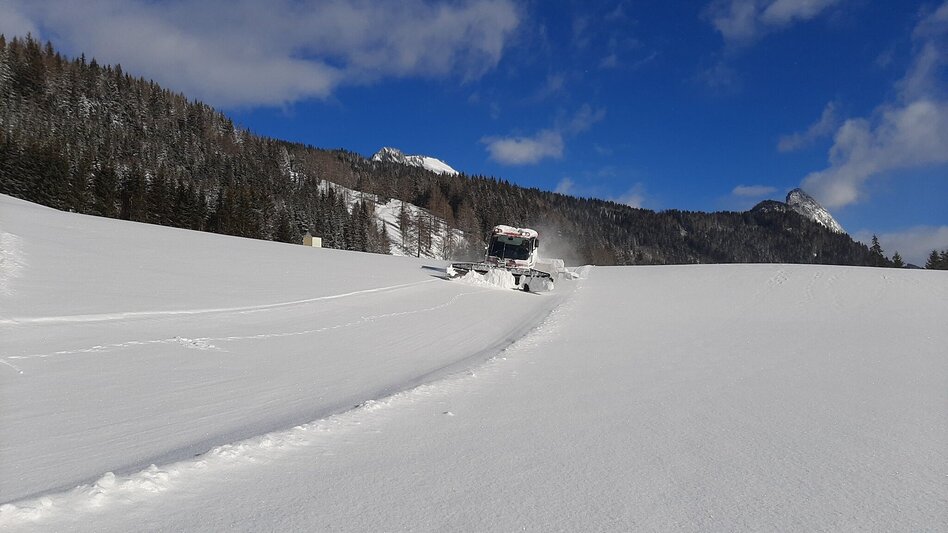 Langlauf Skating Spechtensee Loipe - Touren-Impression #2.6 | © Erlebnisregion Schladming-Dachstein