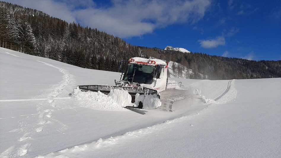 Langlauf Skating Spechtensee Loipe - Touren-Impression #2.7 | © Erlebnisregion Schladming-Dachstein
