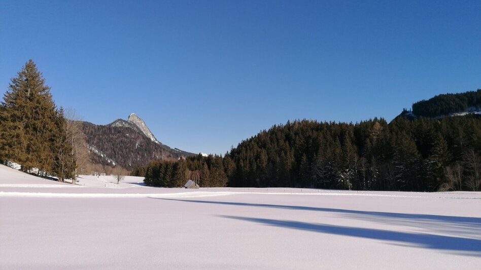 Langlauf Skating Spechtensee Loipe - Touren-Impression #2.1 | © Erlebnisregion Schladming-Dachstein