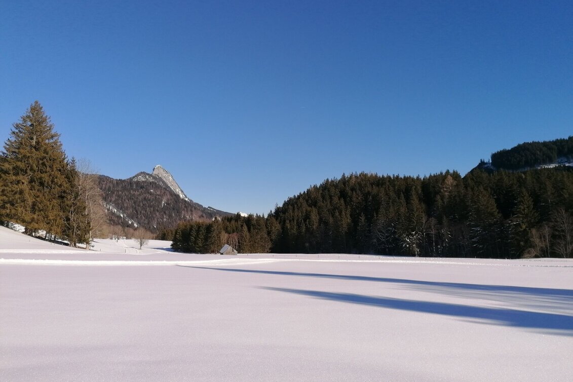 Langlauf Skating Spechtensee Loipe - Touren-Impression #1 | © Erlebnisregion Schladming-Dachstein