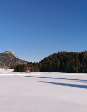 Spechtenseeloipe in traumhafter Naturkulisse | Barbara Luidold | © Erlebnisregion Schladming-Dachstein