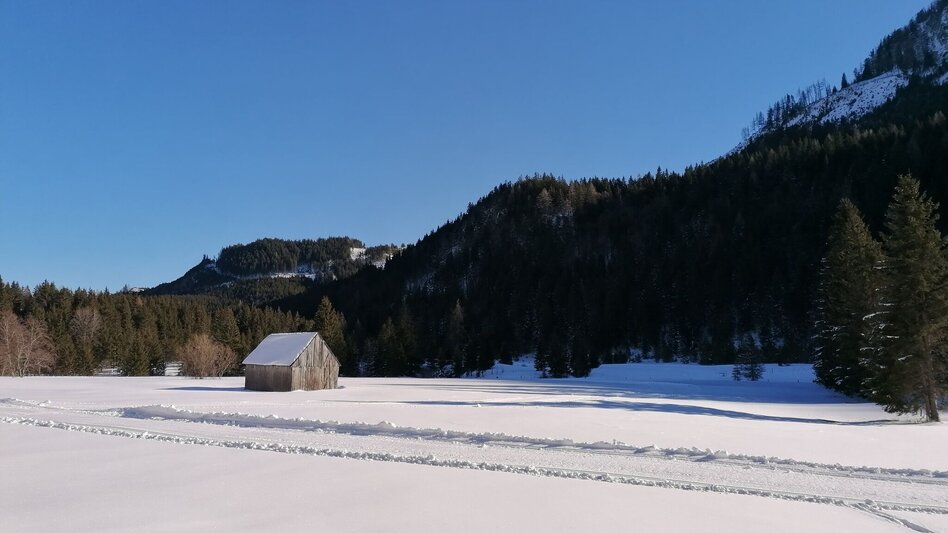 Langlauf Skating Spechtensee Loipe - Touren-Impression #2.2 | © Erlebnisregion Schladming-Dachstein