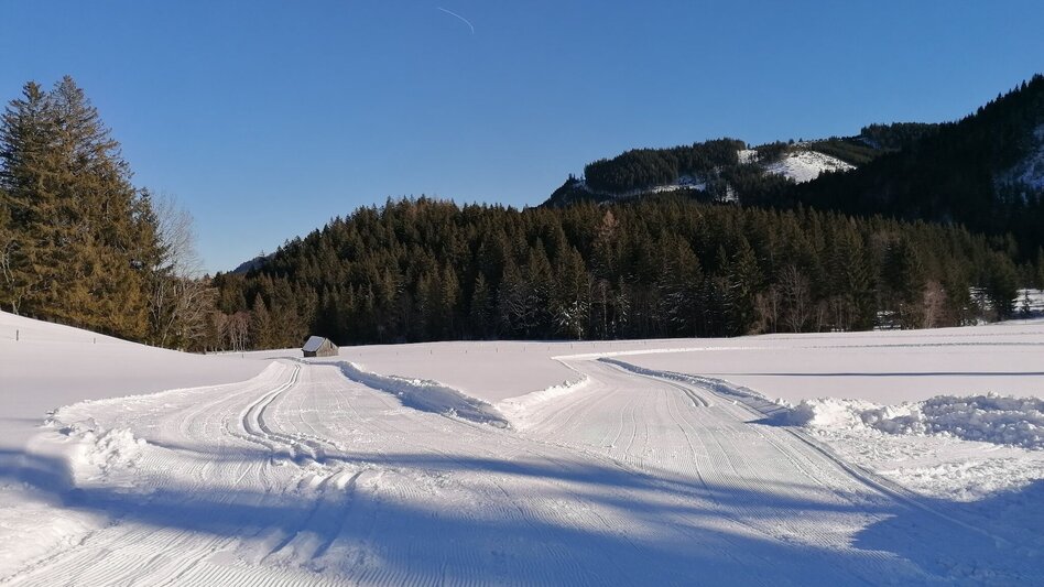 Langlauf Skating Spechtensee Loipe - Touren-Impression #2.4 | © Erlebnisregion Schladming-Dachstein