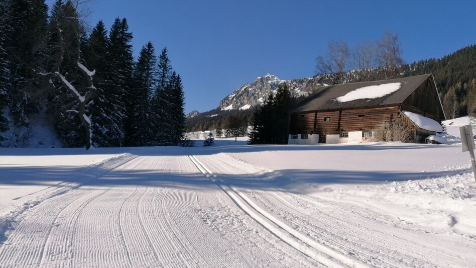 Langlauf Skating Spechtensee Loipe - Touren-Impression #2.5 | © Erlebnisregion Schladming-Dachstein