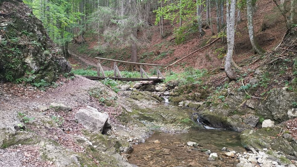 Wanderung Wanderung zur Ruine Pflindsberg - Touren-Impression #2.1 | © Tourismusverband Ausseerland - Salzkammergut