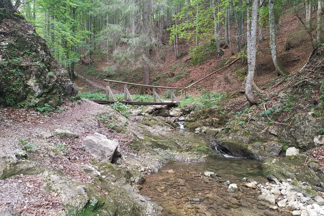 Wanderung Wanderung zur Ruine Pflindsberg - Touren-Impression #1 | © Tourismusverband Ausseerland - Salzkammergut
