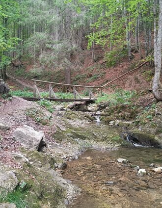 Bachüberquerung | Theresa Schwaiger | © Tourismusverband Ausseerland - Salzkammergut