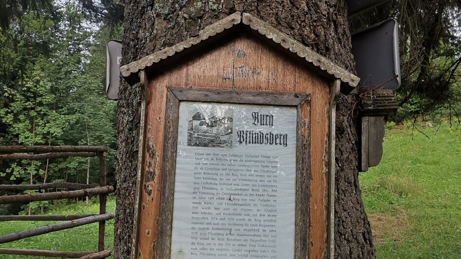 Wanderung Wanderung zur Ruine Pflindsberg - Touren-Impression #2.2 | © Tourismusverband Ausseerland - Salzkammergut