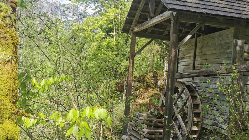 Wanderung Rundwanderung von Gößl zum Toplitzsee - Touren-Impression #2.2 | © Ausseerland