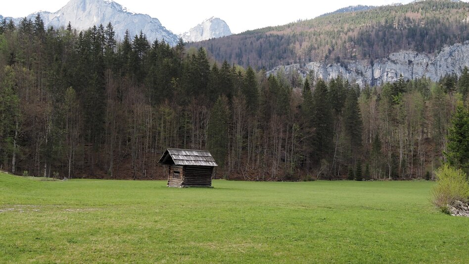 Wanderung Rundwanderung von Gößl zum Toplitzsee - Touren-Impression #2.3 | © Ausseerland
