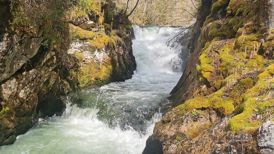 Wanderung Rundwanderung von Gößl zum Toplitzsee - Touren-Impression #2.6 | © Ausseerland