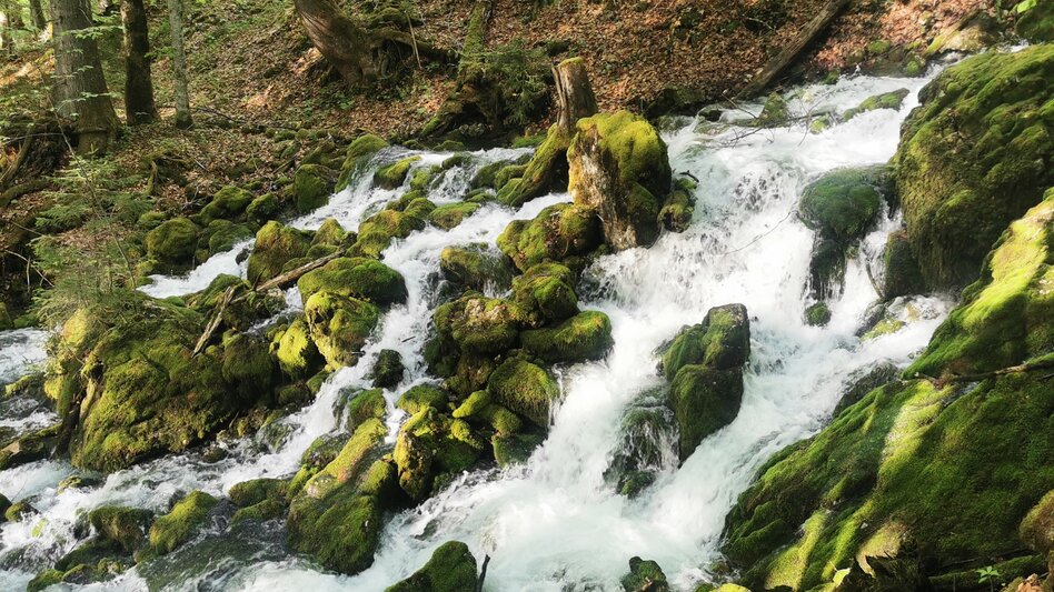 Wanderung Rundwanderung von Gößl zum Toplitzsee - Touren-Impression #2.7 | © Ausseerland