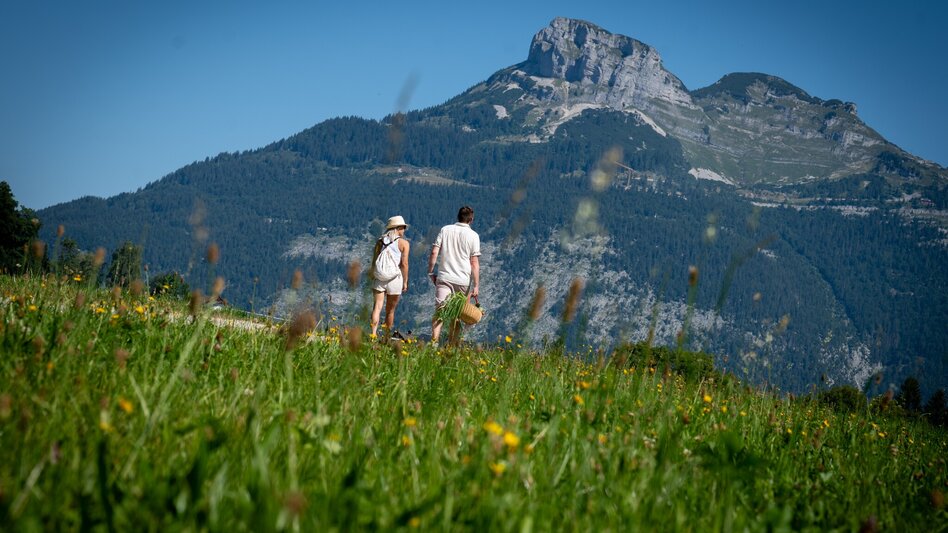 Hiking route Circular hike to the Alpine Garden and across the Reiterer Plateau - Touren-Impression #2.2 | © Steiermark Tourismus_Jesse Streibl