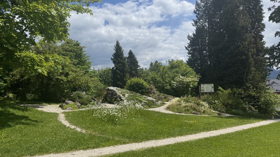 Hiking route Circular hike to the Alpine Garden and across the Reiterer Plateau - Touren-Impression #2.4 | © TVB Ausseerland Salzkammergut_Theresa Schwaiger