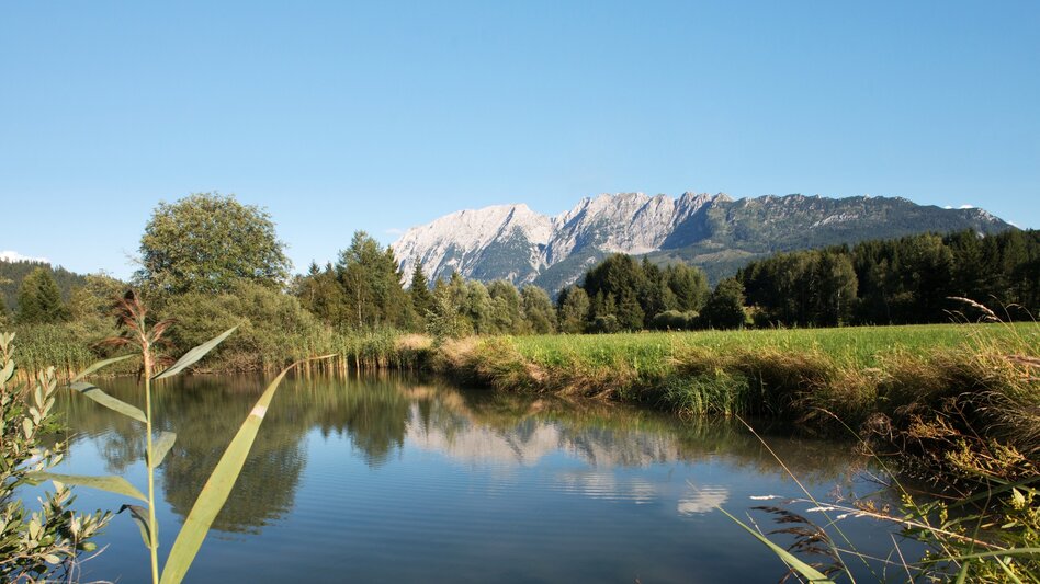 Wanderung Kinderwagentour: Weg durch das Naturschutzgebiet Laasen - Touren-Impression #2.1 | © Tourismusverband Ausseerland - Salzkammergut