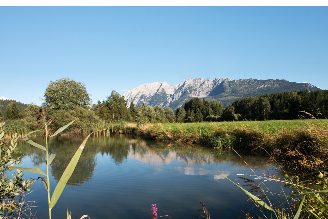 Wanderung Kinderwagentour: Weg durch das Naturschutzgebiet Laasen - Touren-Impression #1 | © Tourismusverband Ausseerland - Salzkammergut