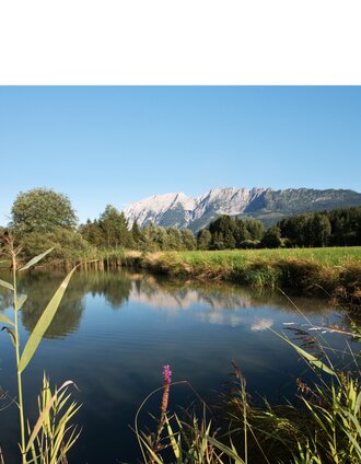 Teich am Laasenweg | Ralf Tornow | © Tourismusverband Ausseerland - Salzkammergut