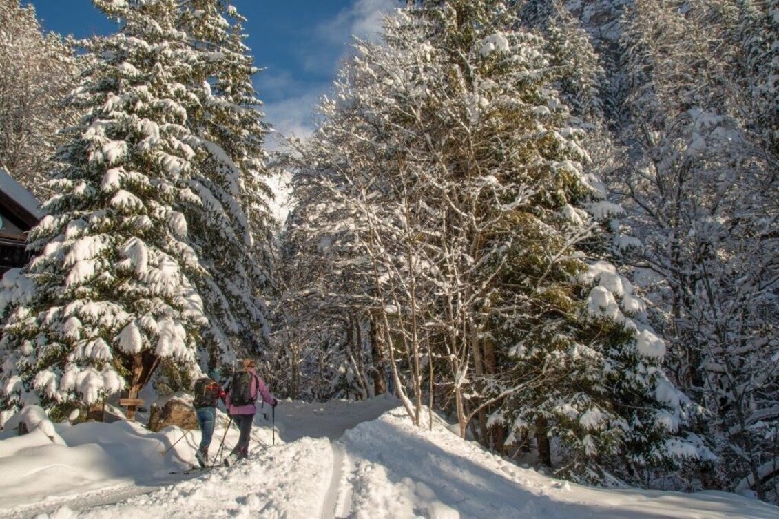 Skitour Skitour Gsuchmauer - Touren-Impression #1 | © TV Gesäuse