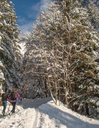 die ersten meter vor der Ebnerklamm | Tourismusverband Gesäuse | © TV Gesäuse
