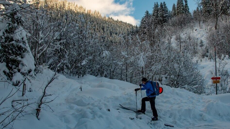 Skitour Skitour Gsuchmauer - Touren-Impression #2.4 | © TV Gesäuse