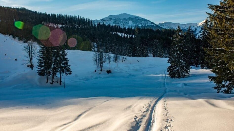 Skitour Skitour Gsuchmauer - Touren-Impression #2.7 | © TV Gesäuse