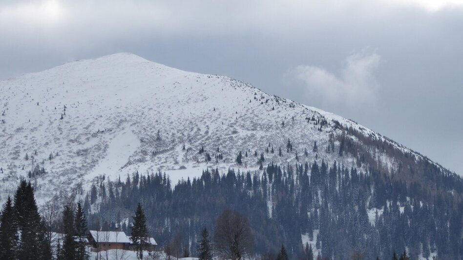 Ski Touring Leobner - Touren-Impression #2.1 | © TV Gesäuse