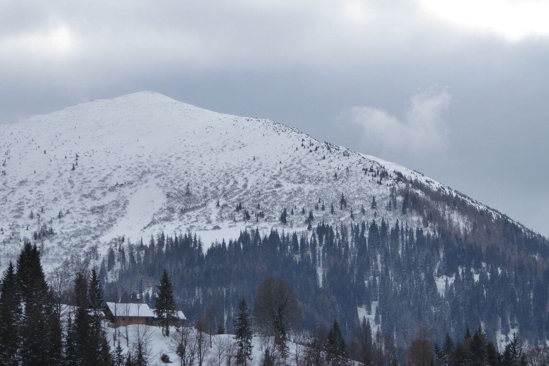 Ski Touring Leobner - Touren-Impression #1 | © TV Gesäuse