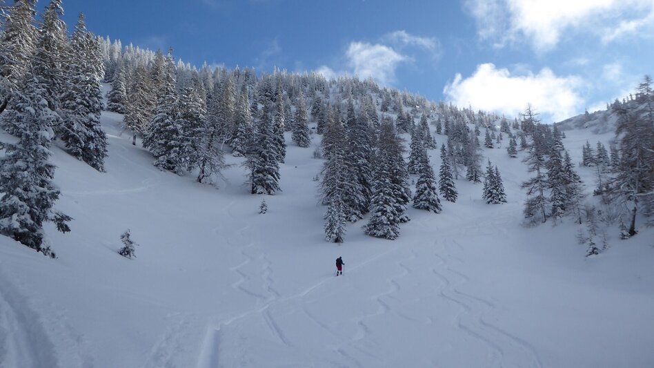 Ski Touring Leobner - Touren-Impression #2.3 | © TV Gesäuse