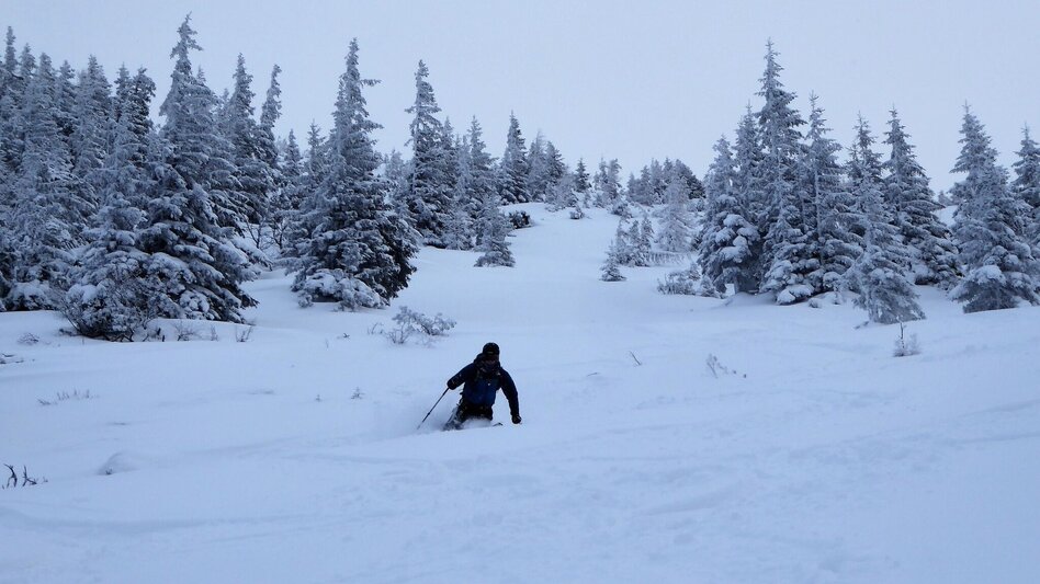 Ski Touring Leobner - Touren-Impression #2.4 | © TV Gesäuse