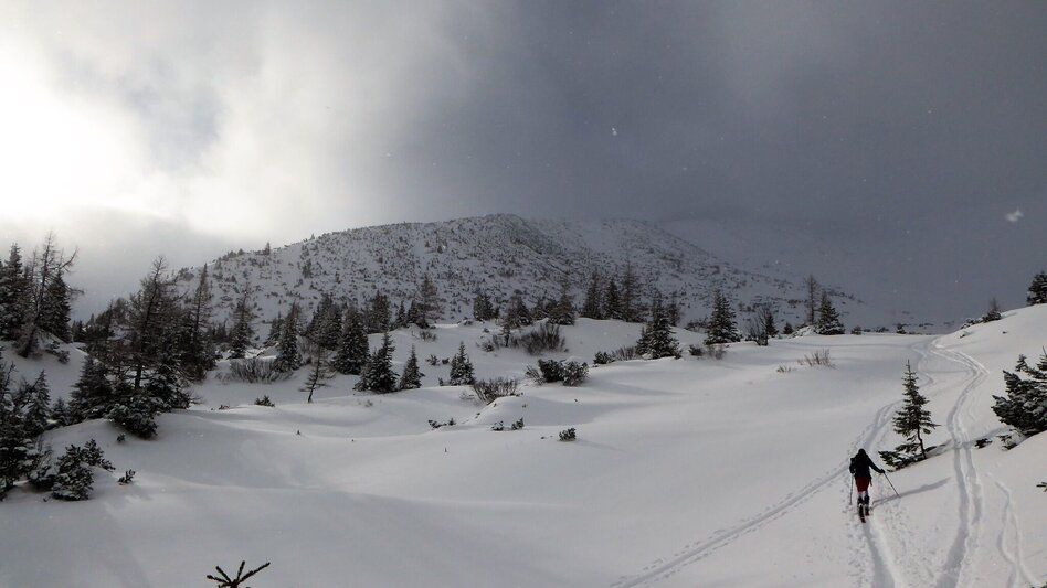 Ski Touring Leobner - Touren-Impression #2.6 | © TV Gesäuse