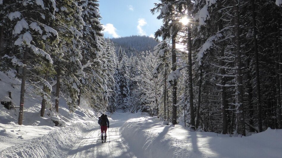 Ski Touring Leobner - Touren-Impression #2.9 | © TV Gesäuse