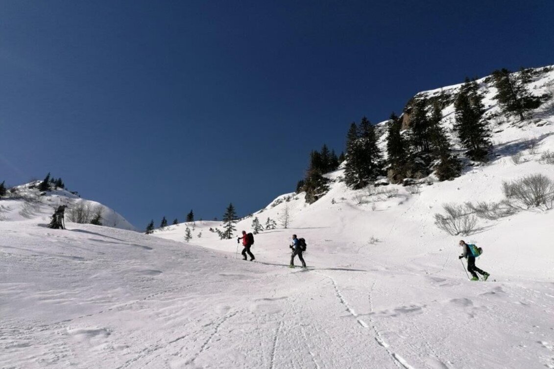 Skitour Skitour Blaseneck - Touren-Impression #1 | © TV Gesäuse