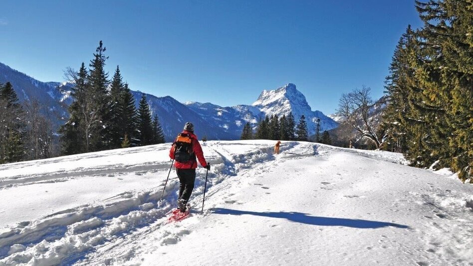 Winterwandern Übereckrunde Johnsbach - Touren-Impression #2.7 | © TV Gesäuse