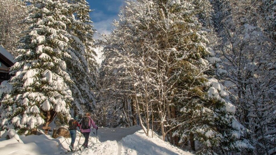 Winterwandern Übereckrunde Johnsbach - Touren-Impression #2.9 | © TV Gesäuse