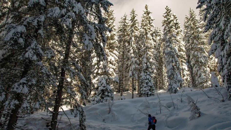 Winterwandern Übereckrunde Johnsbach - Touren-Impression #2.10 | © TV Gesäuse
