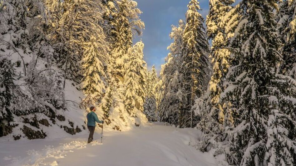 Winter Hiking Johnbacher Almenrunde - Touren-Impression #2.1 | © TV Gesäuse