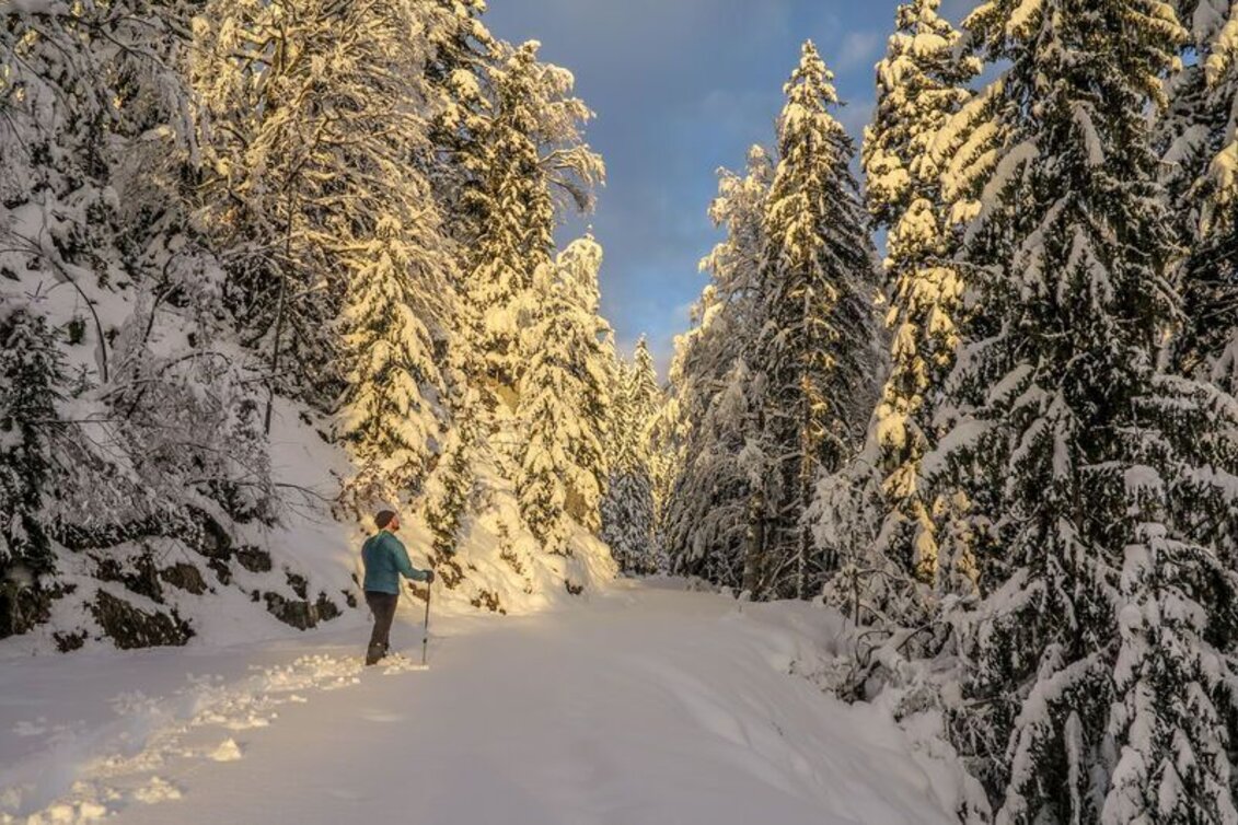 Winter Hiking Johnbacher Almenrunde - Touren-Impression #1 | © TV Gesäuse