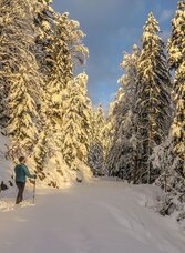 Winterwondeerland | © TV Gesäuse | Tourismusverband Gesäuse | © TV Gesäuse