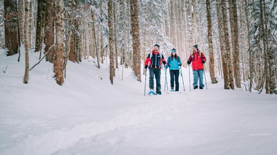 Winter Hiking Johnbacher Almenrunde - Touren-Impression #2.4 | © TV Gesäuse