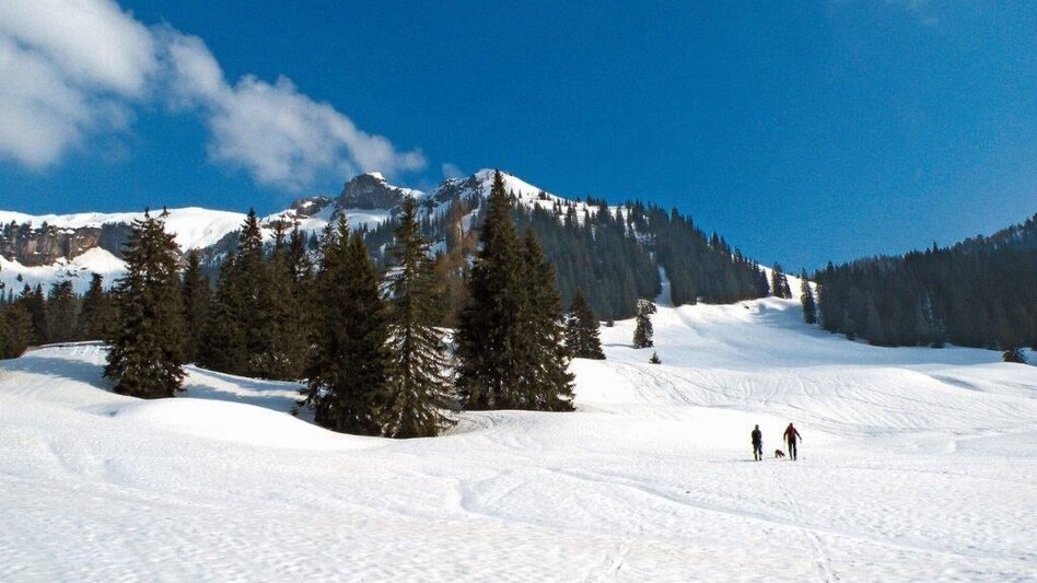 Winter Hiking Johnbacher Almenrunde - Touren-Impression #2.6 | © TV Gesäuse