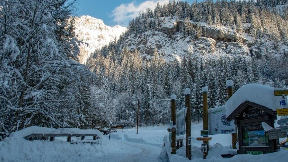 Winter Hiking Johnbacher Almenrunde - Touren-Impression #2.8 | © TV Gesäuse