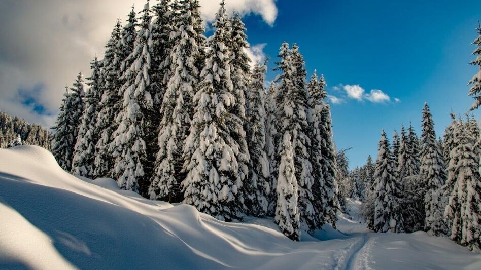 Winter Hiking Johnbacher Almenrunde - Touren-Impression #2.12 | © TV Gesäuse