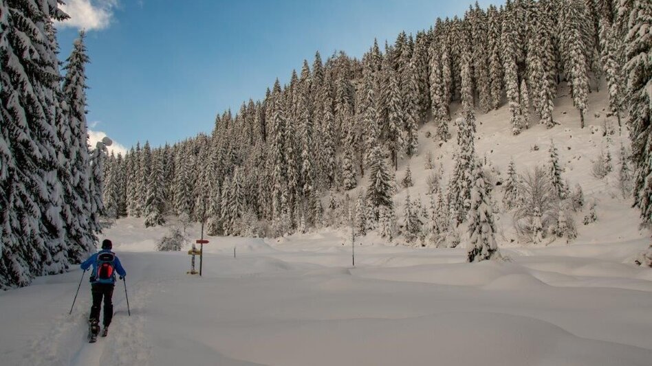 Winter Hiking Johnbacher Almenrunde - Touren-Impression #2.13 | © TV Gesäuse